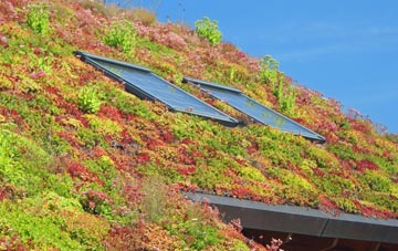Upper Stanton Drew living roof systems