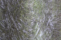 Upper Stanton Drew fibreglass roof work